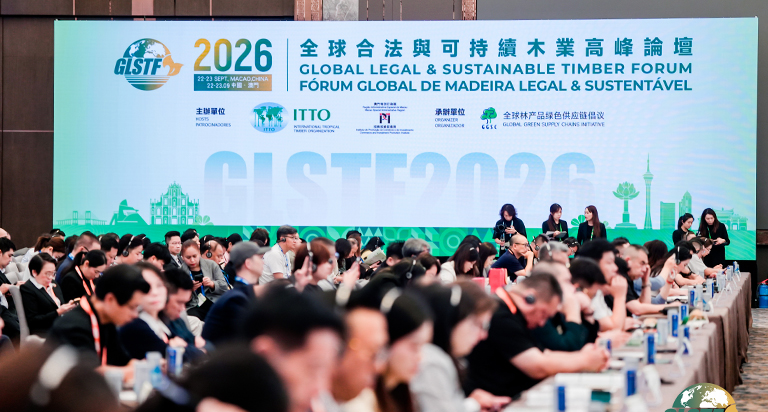 从澳门看世界｜展辰新材亮相GLSTF2026 与世界木业共话可持续未来